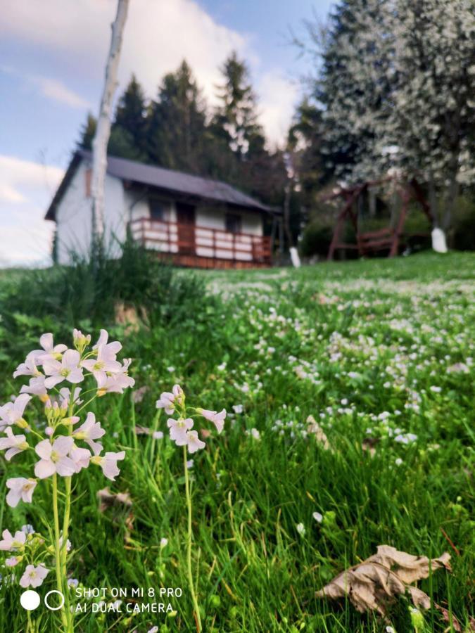 Wierchowyna Villa Uherce Mineralne Exterior photo